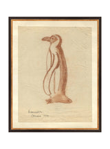 Penguin Sketch - HJART0184 - BGD - 16x20