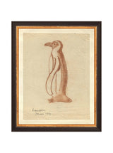 Penguin Sketch - HJART0184 - BGD - 8x10