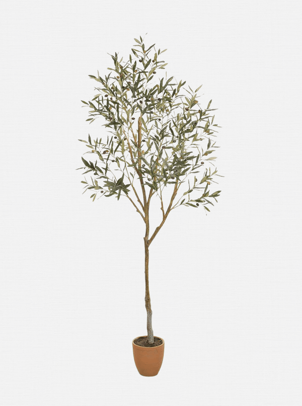 Potted 84" Faux Olive Tree - HJGRN0091 - OS