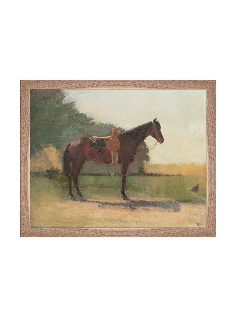 Saddled Horse - HJART0179 - WNT - 11x14