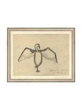 Sea Raven Sketch - HJART0191 - SIL - 11x14