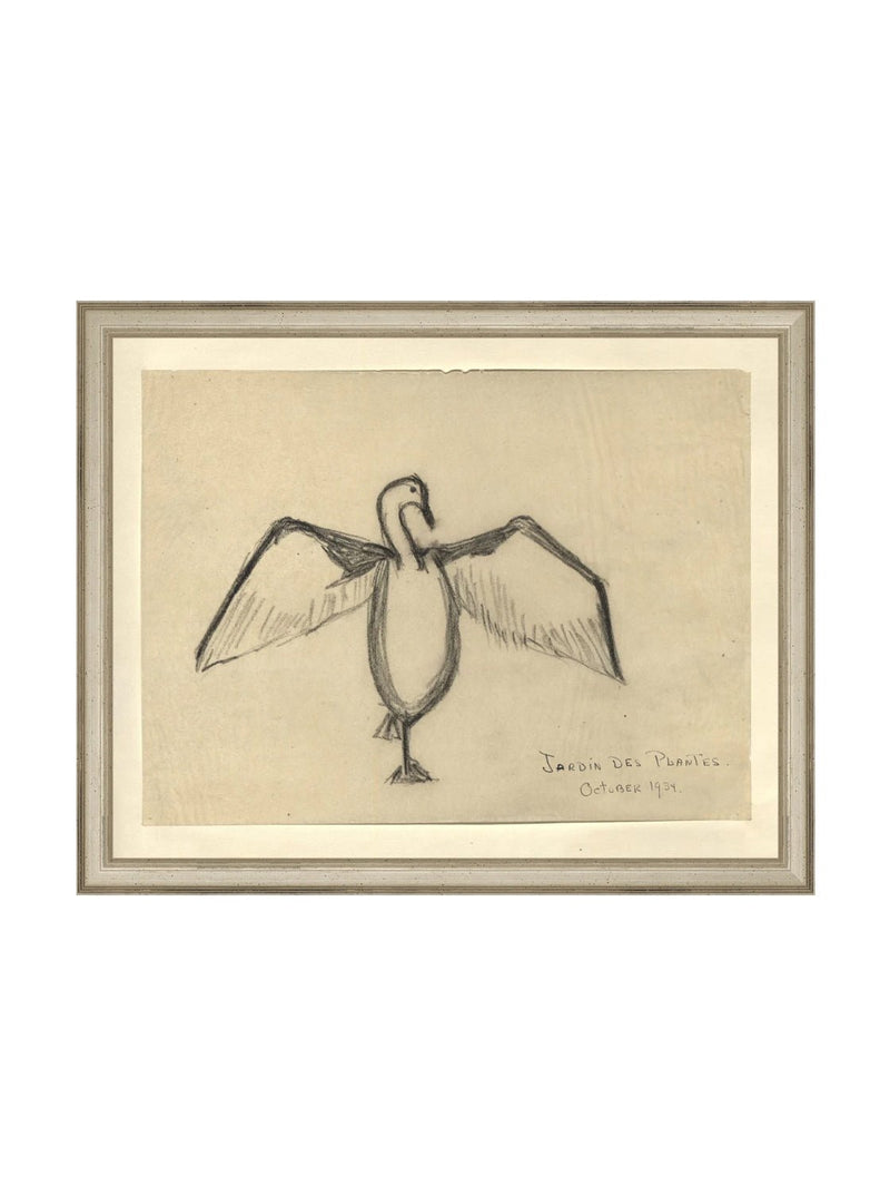 Sea Raven Sketch - HJART0191 - SIL - 11x14