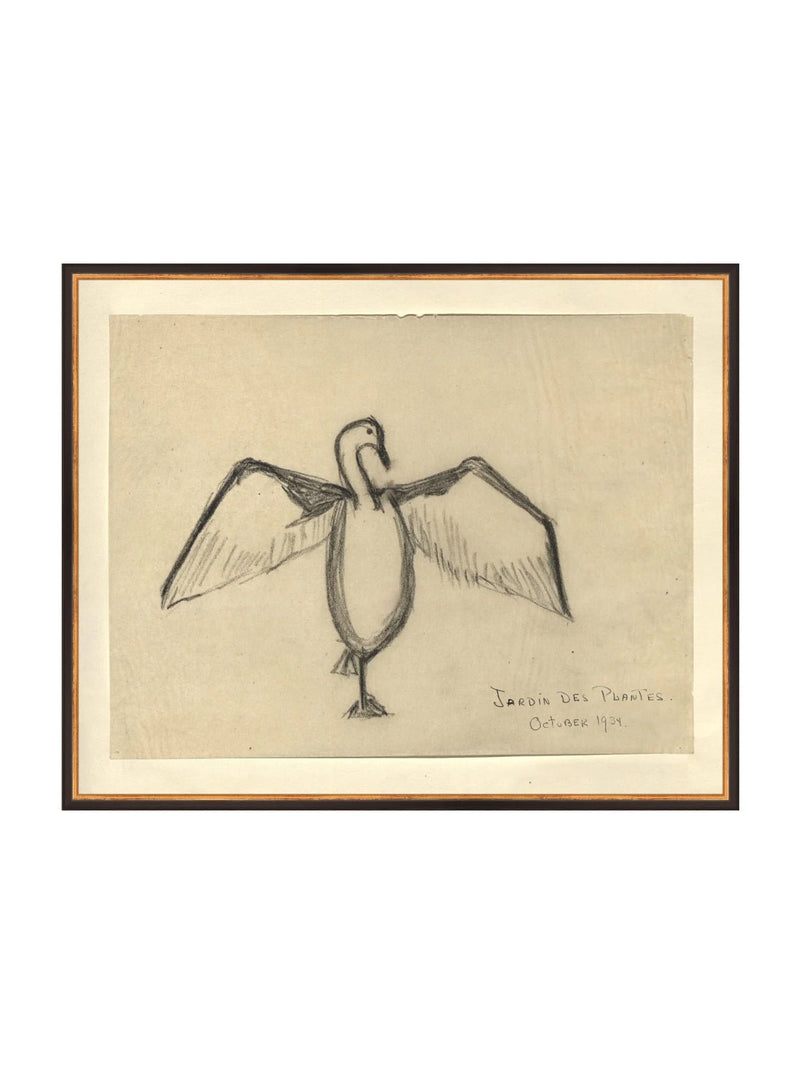 Sea Raven Sketch - HJART0191 - BGD - 24x30