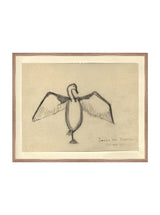 Sea Raven Sketch - HJART0191 - WNT - 24x30
