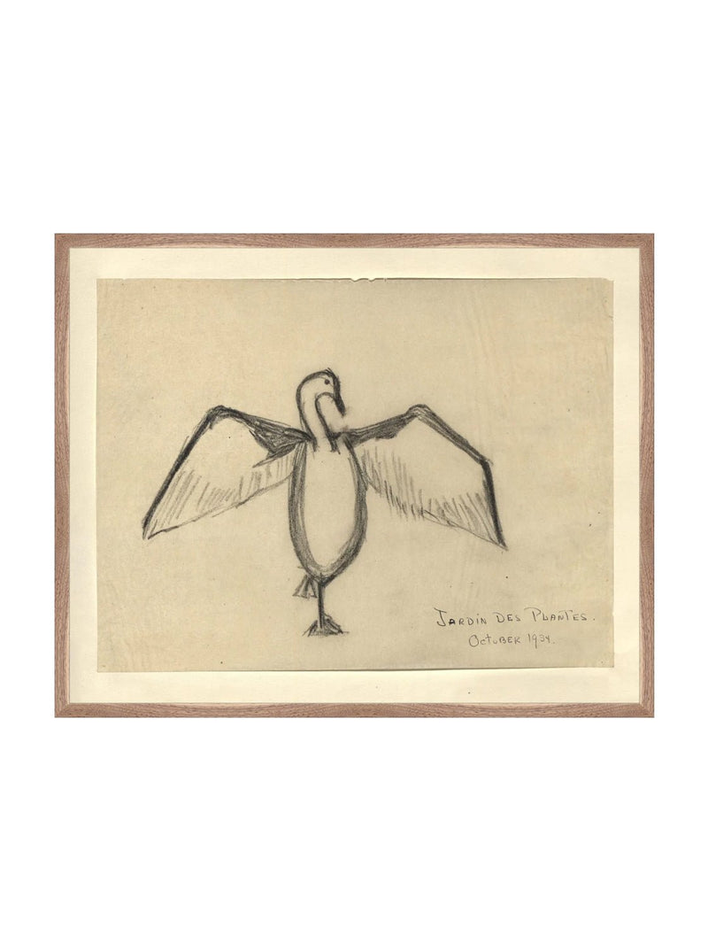 Sea Raven Sketch - HJART0191 - WNT - 24x30