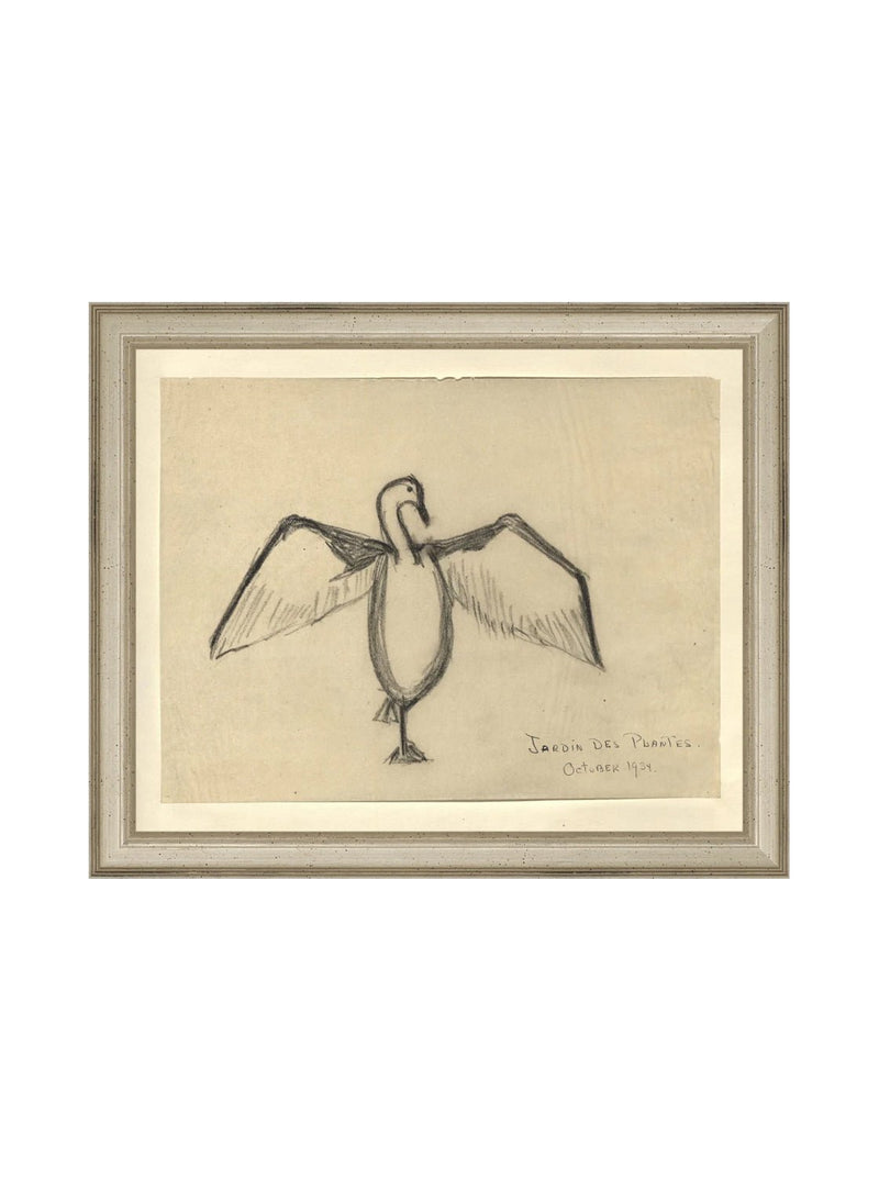 Sea Raven Sketch - HJART0191 - SIL - 8x10