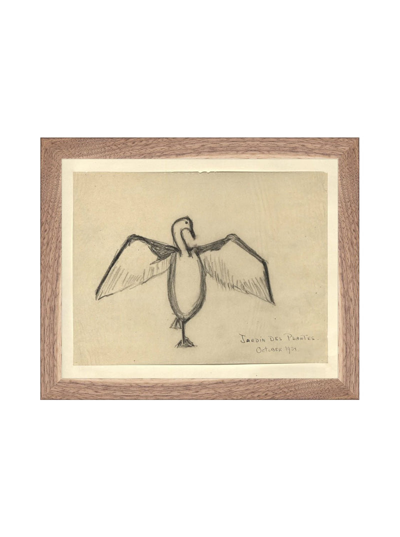 Sea Raven Sketch - HJART0191 - WNT - 8x10