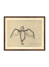 Sea Raven Sketch - HJART0191 - BGD - 16x20