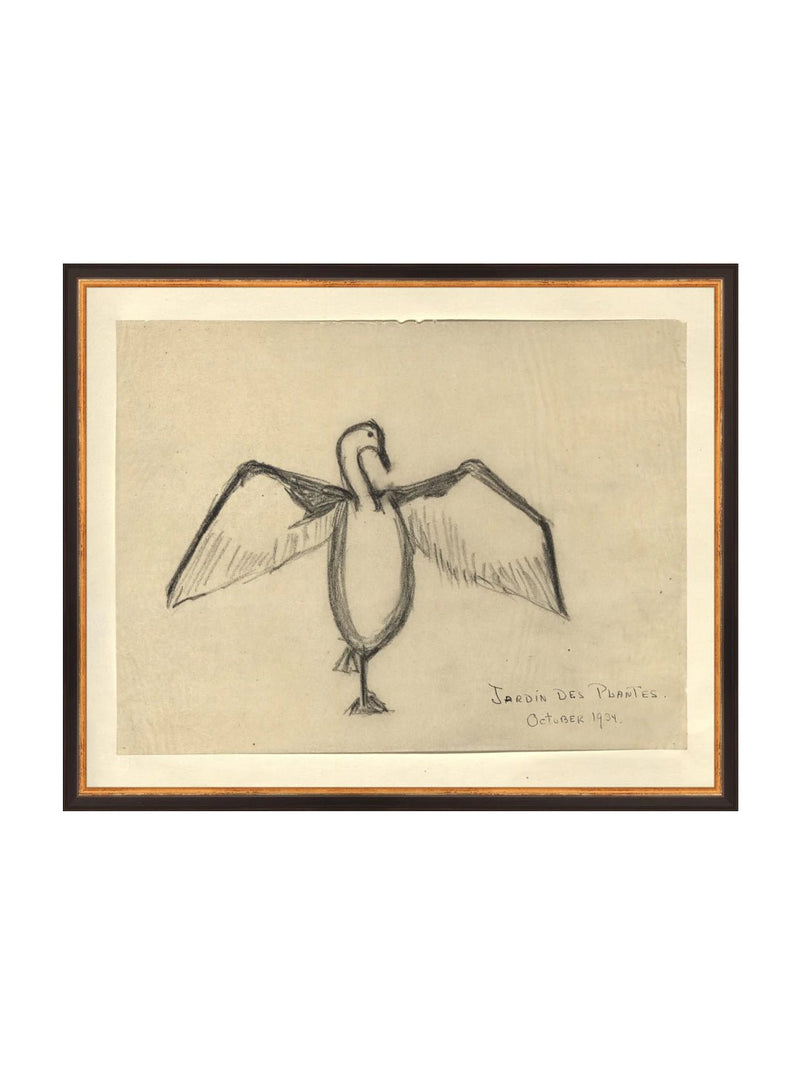 Sea Raven Sketch - HJART0191 - BGD - 16x20