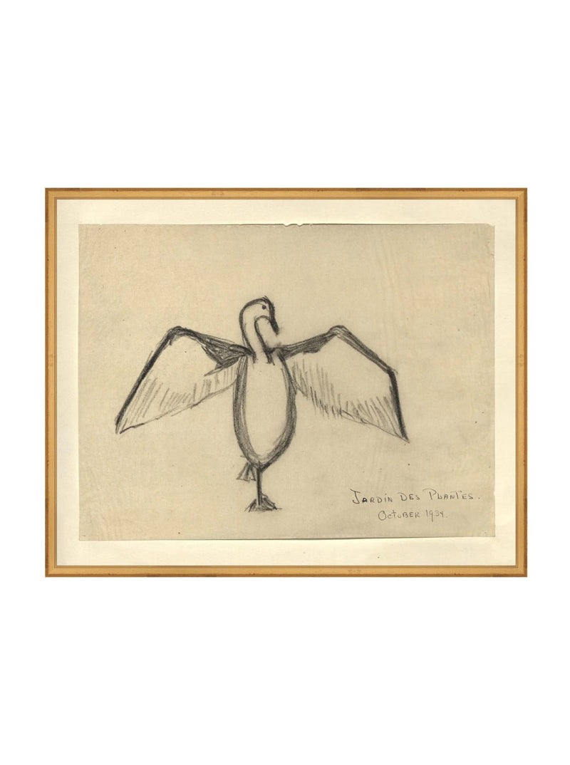 Sea Raven Sketch - HJART0191 - GLD - 24x30