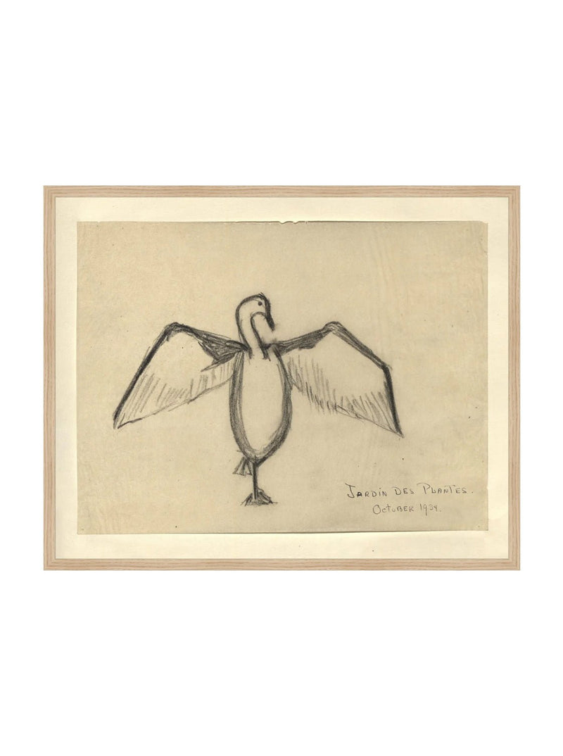Sea Raven Sketch - HJART0191 - OAK - 24x30