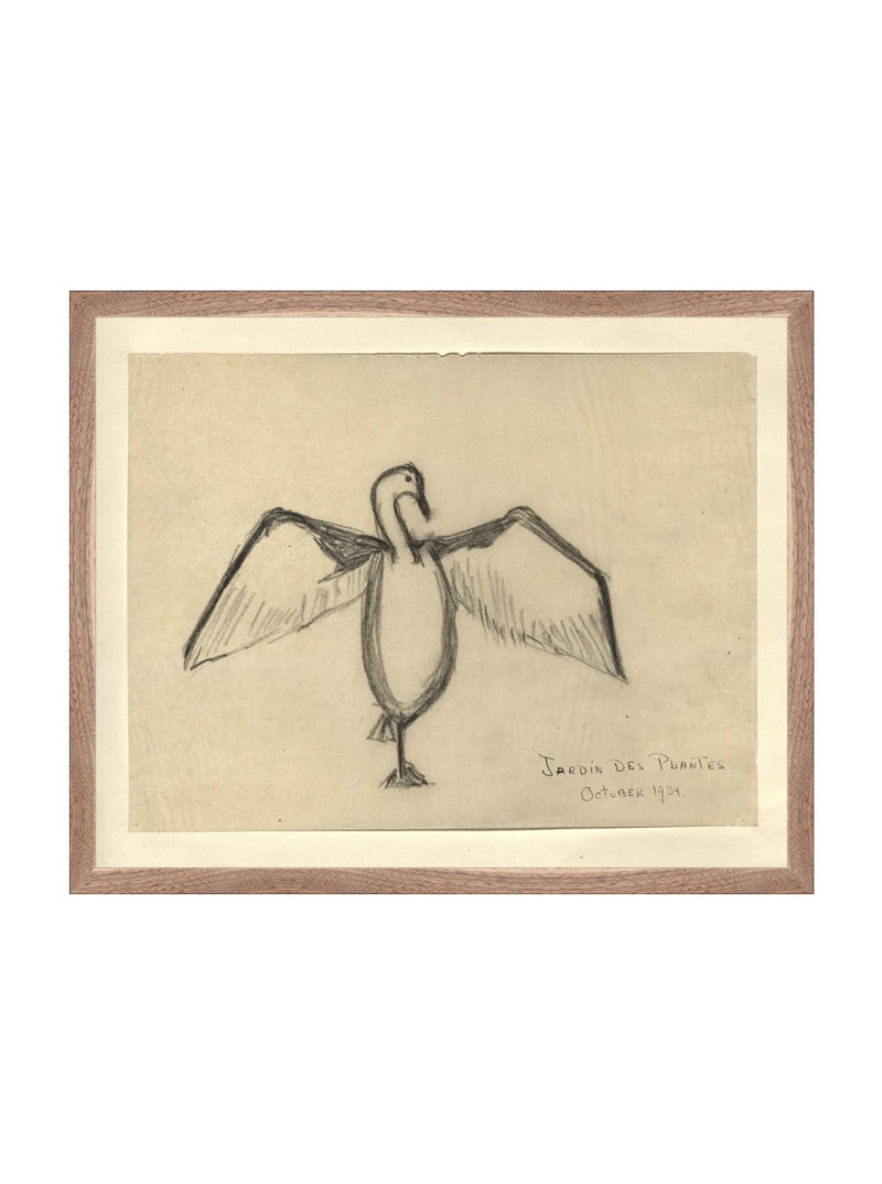 Sea Raven Sketch - HJART0191 - WNT - 16x20