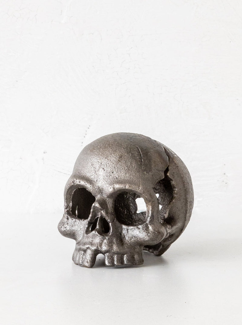 Skull Object - HJDCR0262 - OS