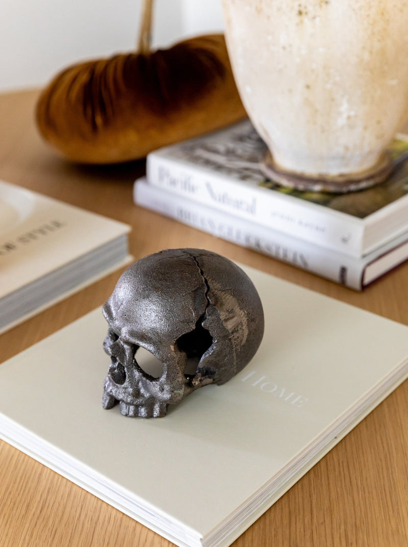 Skull Object - HJDCR0262 - OS