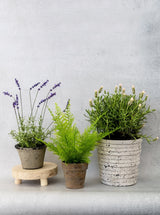 Striped Stone Pot - HJDCR0371 - OS