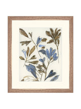 Wildflowers - HJART0235 - WNT - 12X14