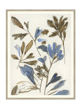 Wildflowers - HJART0235 - SIL - 34X44