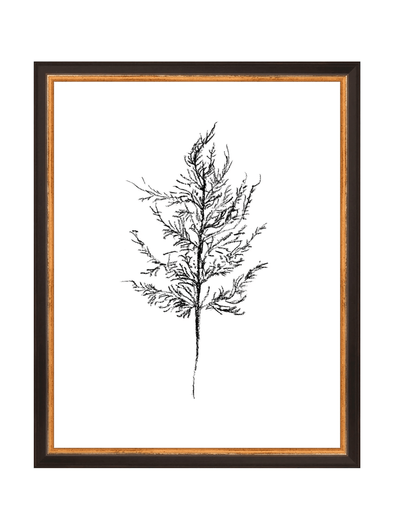 Winter Foliage Sketch III - HJART0333 - BKG - 11x14