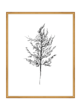 Winter Foliage Sketch III - HJART0333 - GLD - 24x30