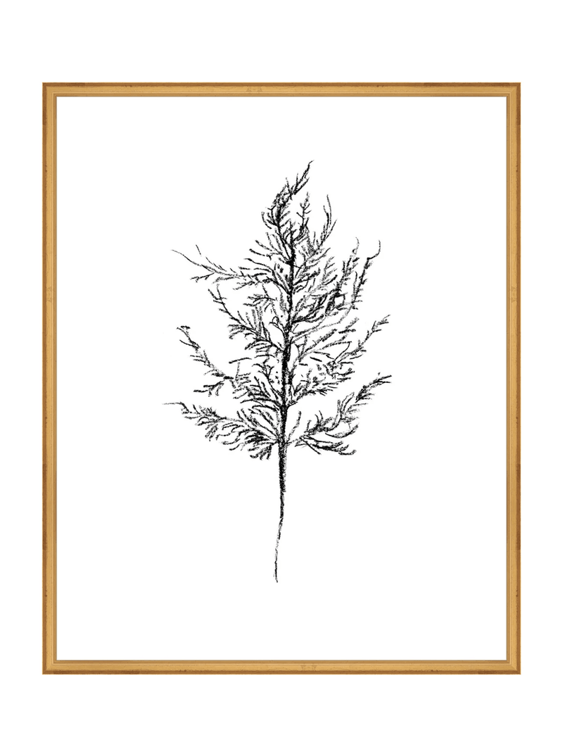 Winter Foliage Sketch III - HJART0333 - GLD - 24x30