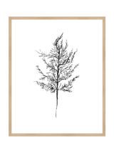 Winter Foliage Sketch III - HJART0333 - OAK - 24x30