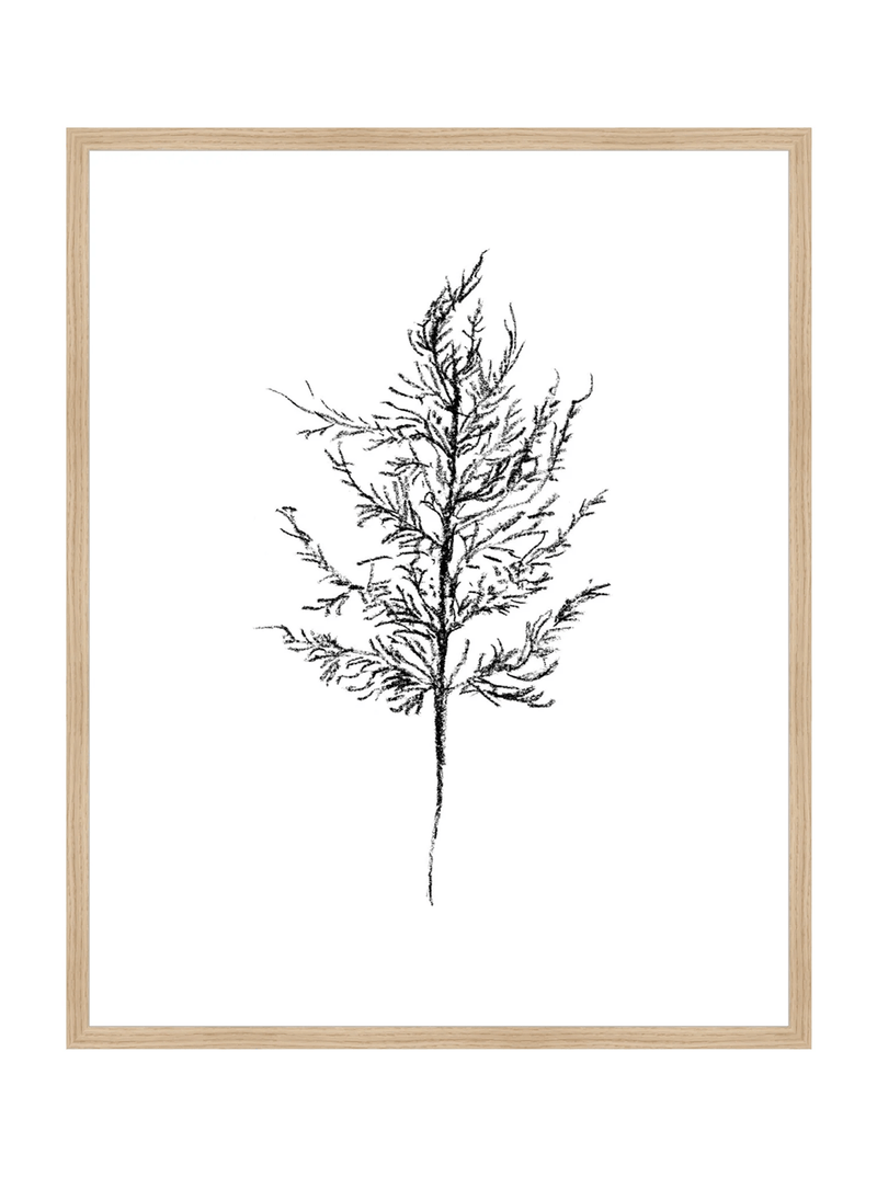 Winter Foliage Sketch III - HJART0333 - OAK - 24x30