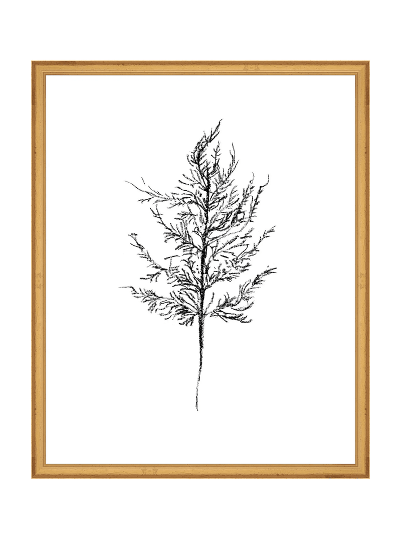Winter Foliage Sketch III - HJART0333 - GLD - 16x20