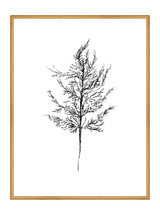 Winter Foliage Sketch III - HJART0333 - GLD - 30x40