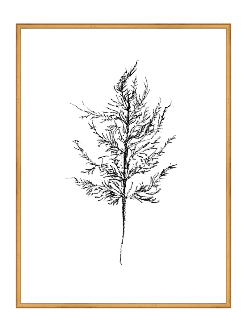 Winter Foliage Sketch III - HJART0333 - GLD - 30x40
