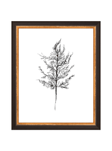 Winter Foliage Sketch III - HJART0333 - BKG - 8x10