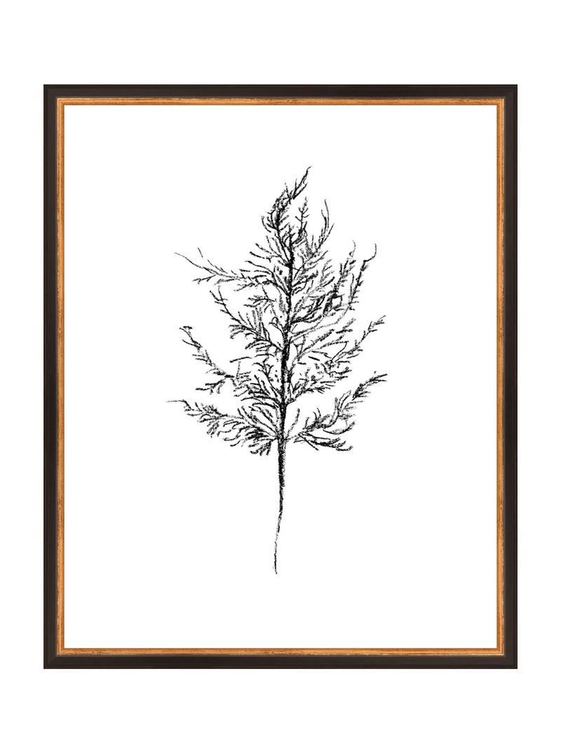 Winter Foliage Sketch III - HJART0333 - BKG - 16x20