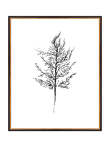Winter Foliage Sketch III - HJART0333 - BKG - 24 - 30