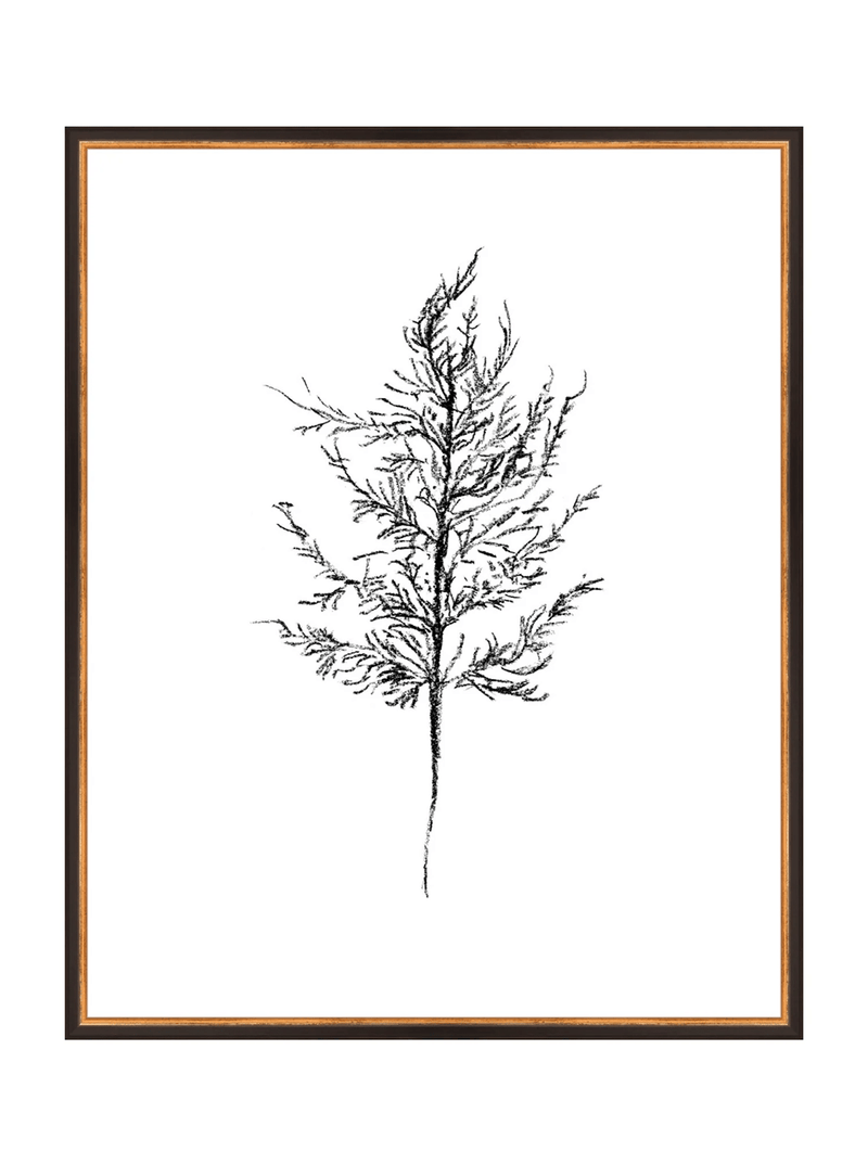 Winter Foliage Sketch III - HJART0333 - BKG - 24 - 30