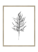 Winter Foliage Sketch III - HJART0333 - SLV - 24x30
