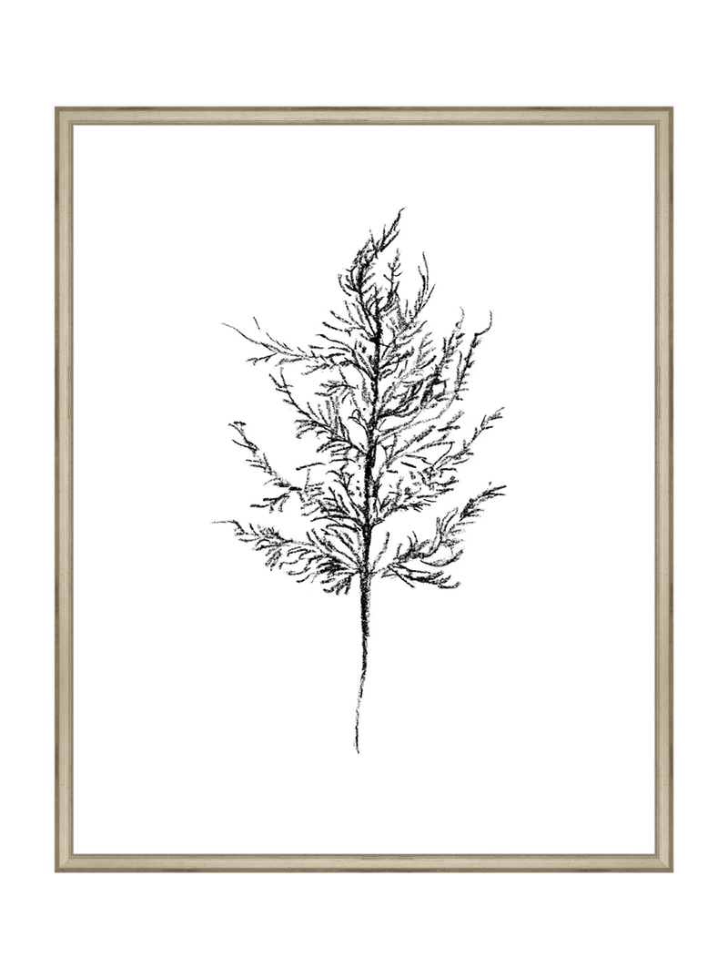 Winter Foliage Sketch III - HJART0333 - SLV - 24x30