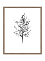 Winter Foliage Sketch III - HJART0333 - WAL - 24x30