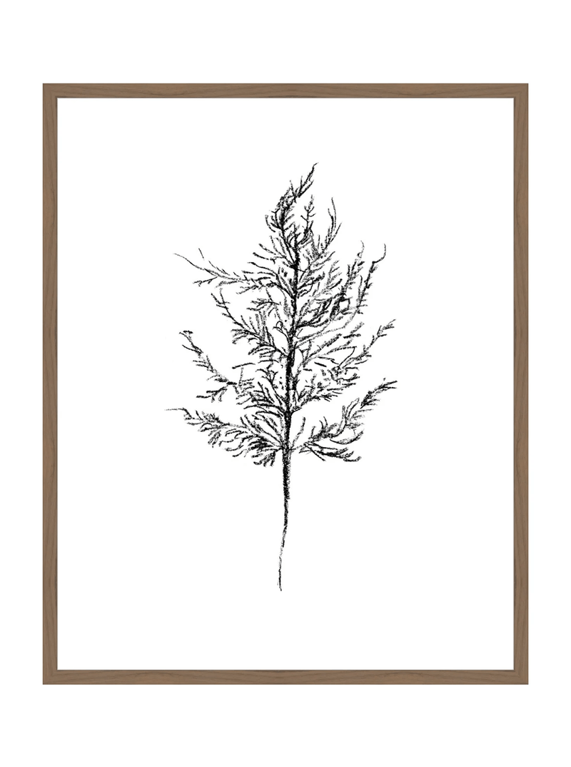 Winter Foliage Sketch III - HJART0333 - WAL - 24x30