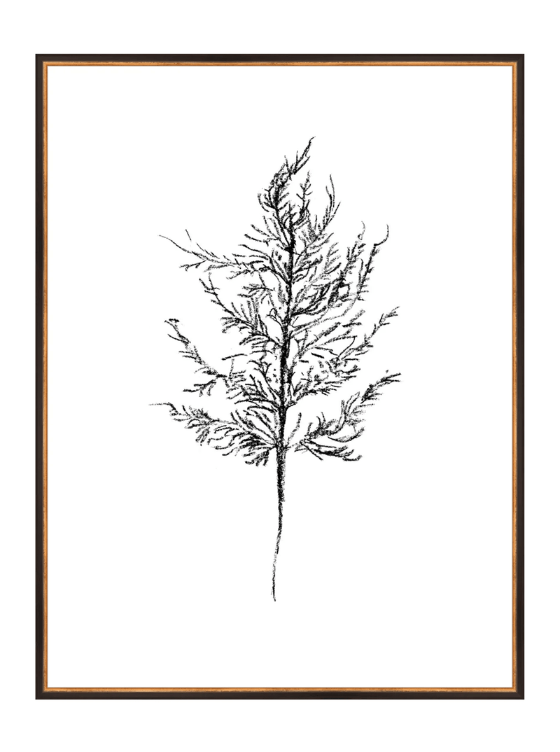 Winter Foliage Sketch III - HJART0333 - BKG - 30x40
