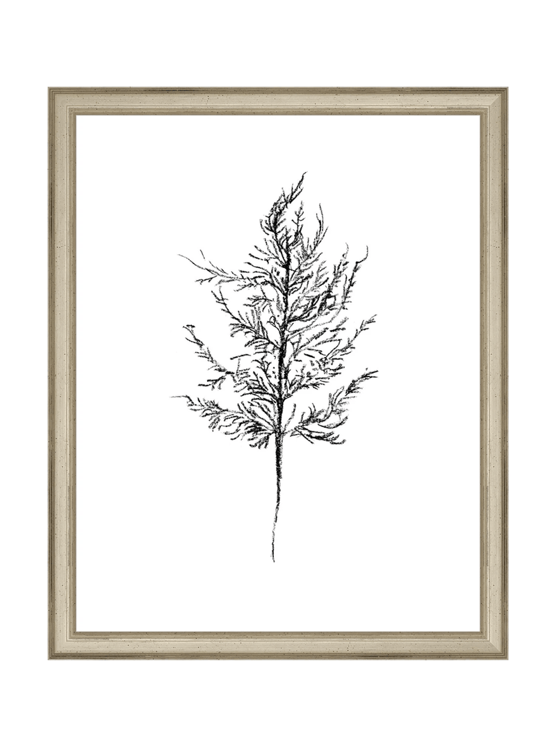 Winter Foliage Sketch III - HJART0333 - SLV - 11x14