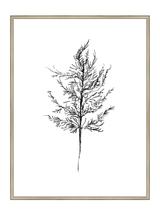 Winter Foliage Sketch III - HJART0333 - SLV - 30x40