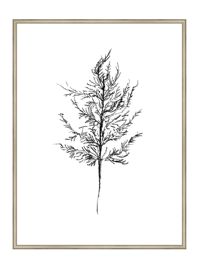 Winter Foliage Sketch III - HJART0333 - SLV - 30x40