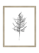 Winter Foliage Sketch III - HJART0333 - SLV - 16x20