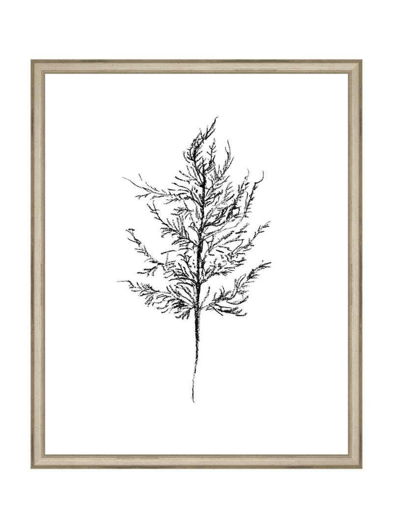 Winter Foliage Sketch III - HJART0333 - SLV - 16x20