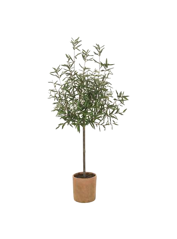 Potted 70" Faux Olive Tree