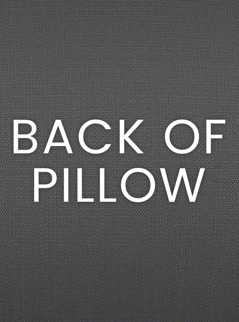 Demi Outdoor Pillow | Set of 2